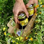 SCATOLA 3 VASETTI PICCOLI : MIELI PURI