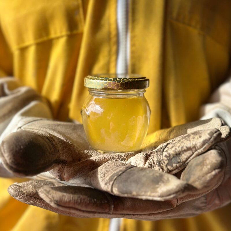 Bomboniere con miele